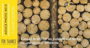 013 COMPOSITION Motif casse
