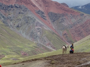 Montaña 7 colores (40)